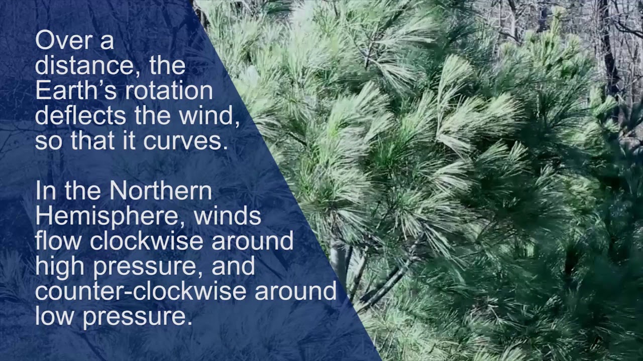 National Weather Service (NWS): The Atmosphere in Motion: The Science of Wind